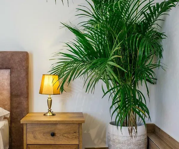 Heritage Dea Hvar 4*